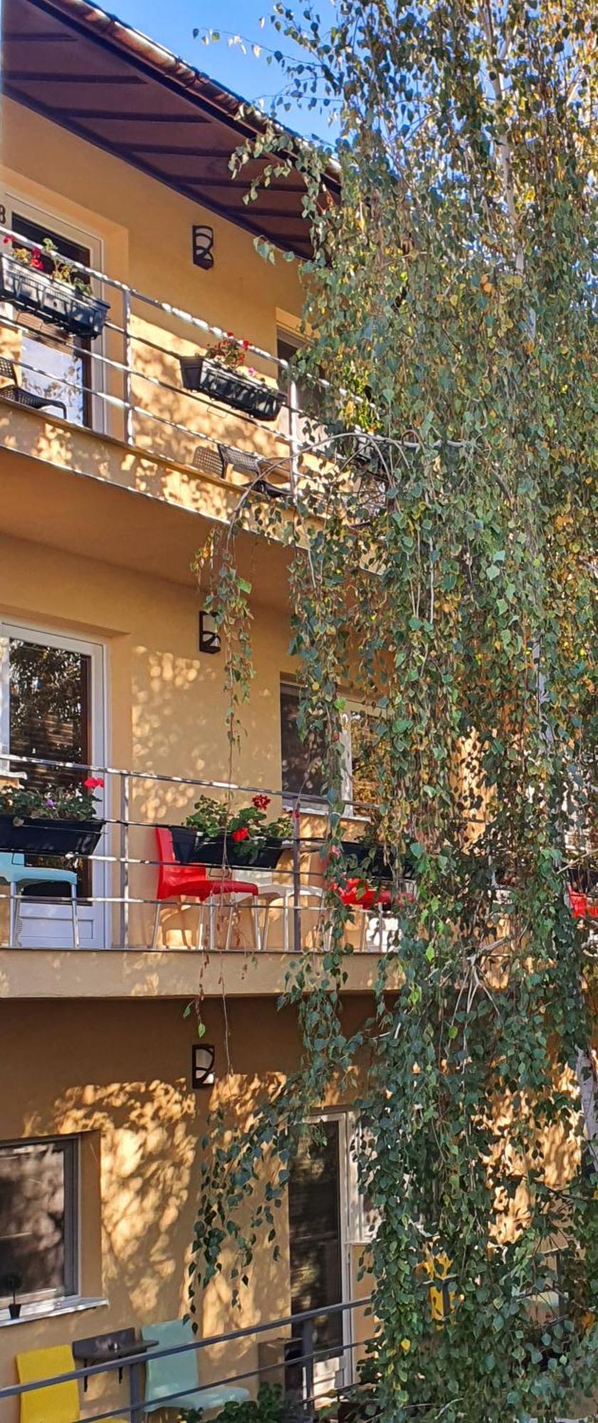 Vila Sia Bukarest Exteriör bild