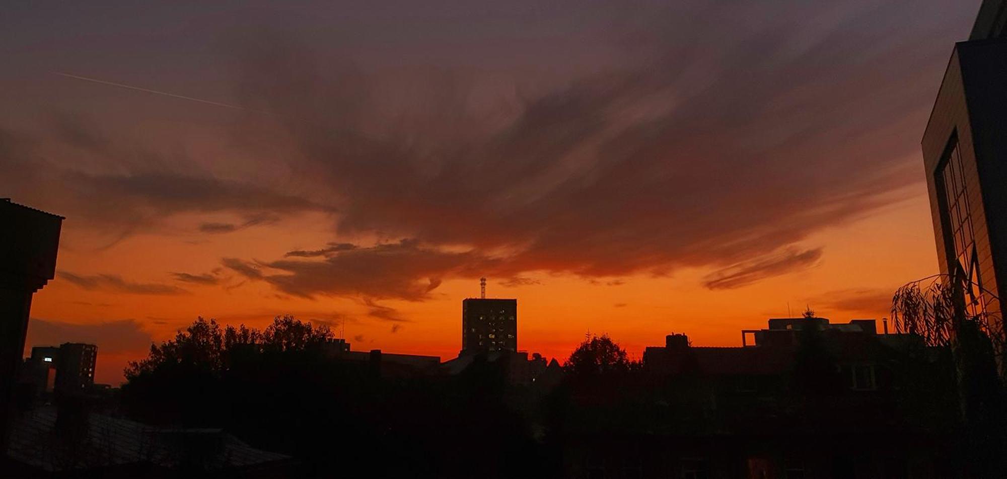 Vila Sia Bukarest Exteriör bild